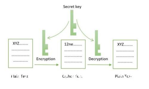 数字货币本身通常是以数字形式存在的，因此没有实物卡片。但有些平台和服务提供了预付卡或支付卡，它们允许用户将数字货币转换为法定货币，进而在实体商店或在线进行消费。这些卡片通常可以与用户的数字钱包关联，使得用户可以方便地使用其数字资产。