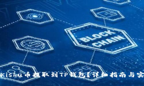 如何将Kishu币提取到TP钱包？详细指南与实用技巧