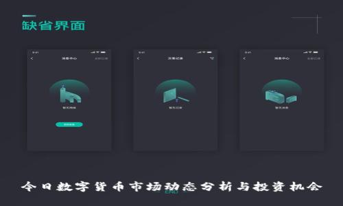 今日数字货币市场动态分析与投资机会