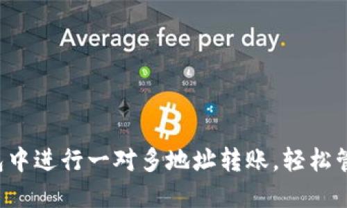  如何在TP钱包中进行一对多地址转账，轻松管理多钱包资产