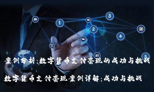案例分析：数字货币支付套现的成功与挑战

数字货币支付套现案例详解：成功与挑战