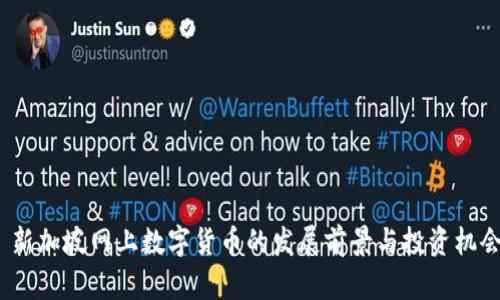  新加坡网上数字货币的发展前景与投资机会